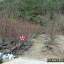 개성부동산중개사무소 이미지