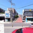 청솔동물병원 이미지