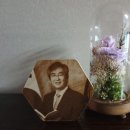 김홍철 Daum카페