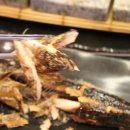 대게좋은집 붉은대게 무한리필 이미지