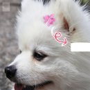 :다