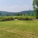 비지니스 골프클럽 이미지