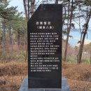 대종카정비 Daum카페