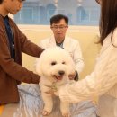 하이뭉치 유치원 이미지