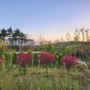 소나무여울공원 이미지