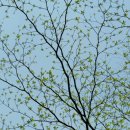 강동 한의원 이미지