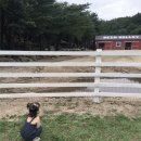 가꿀목장 | 켄싱턴 설악밸리 부대시설 돌아본 후기