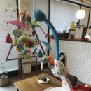 영구칼국수 이미지
