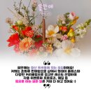 꽃안애