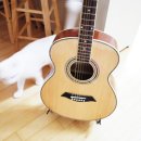 포크기타 초급반 이미지