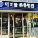 밤비동물병원 이미지