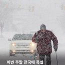 2026년 첫눈, 면접, 운동 시작 등등 1월 첫째주 🌷❄️