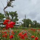 상하 인하우스 이미지