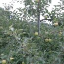 꽃봉재가든 이미지