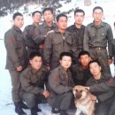 유로애견샵 이미지