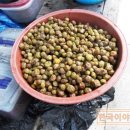 영화황토민박 이미지