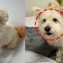 난동여성경로당 이미지