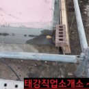 칼라직업소개소 이미지