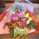 박현정치과의원 이미지