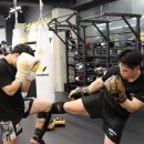 위즈덤 GYM 이미지