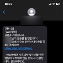 글램독가평