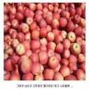 사연농장 이미지