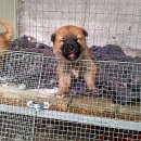 삿갓농장(2) 이미지