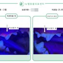 뉴엘동물의료센터 이미지