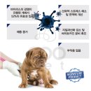(주)칼시스 | 고양이 면역력을 지켜줘 ! 삼양애니팜 쿠펫 &lt; 비우시드 펫 &gt; 후기