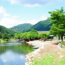 뿌리공원 이미지