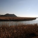 순천만둥지 이미지