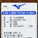 308009 이미지