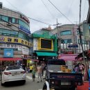 구구구PC | 어느 주말 밈미랑 데이트