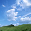 푸른초원 이미지