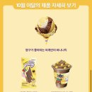 짱구가짱 이미지