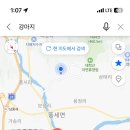나무타는고양이 구경하는강아지 이미지