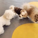 시흥유치원 이미지