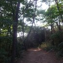 광산구-154 이미지