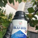 (주)대유 | 🌿 대유 블루윈 맥스 후기