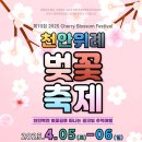 은석초교 이미지