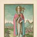 펠릭스팜 이미지