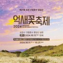 제27회 포천 산정호수 명성산 억새꽃 축제 이미지