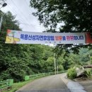 독용산성자연휴양림 이미지