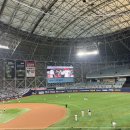 우리들의 꿈들 이미지