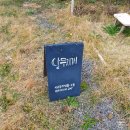 치빗코야키 | 여자 혼자 겨울 제주도 ① 동문시장, 동백수목원, 달무지개, 공방체험, 액자만들기, 올레시장