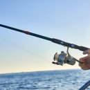 의항리해상공원 이미지