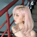 딸기미용실 이미지