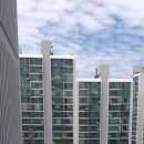 상동 393 이미지