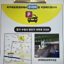 국가대표주유소 | 율전동 횟집 국가대표회센터 수원성대본점 대방어 축제 세트 후기