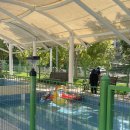 독트럴파크 이미지